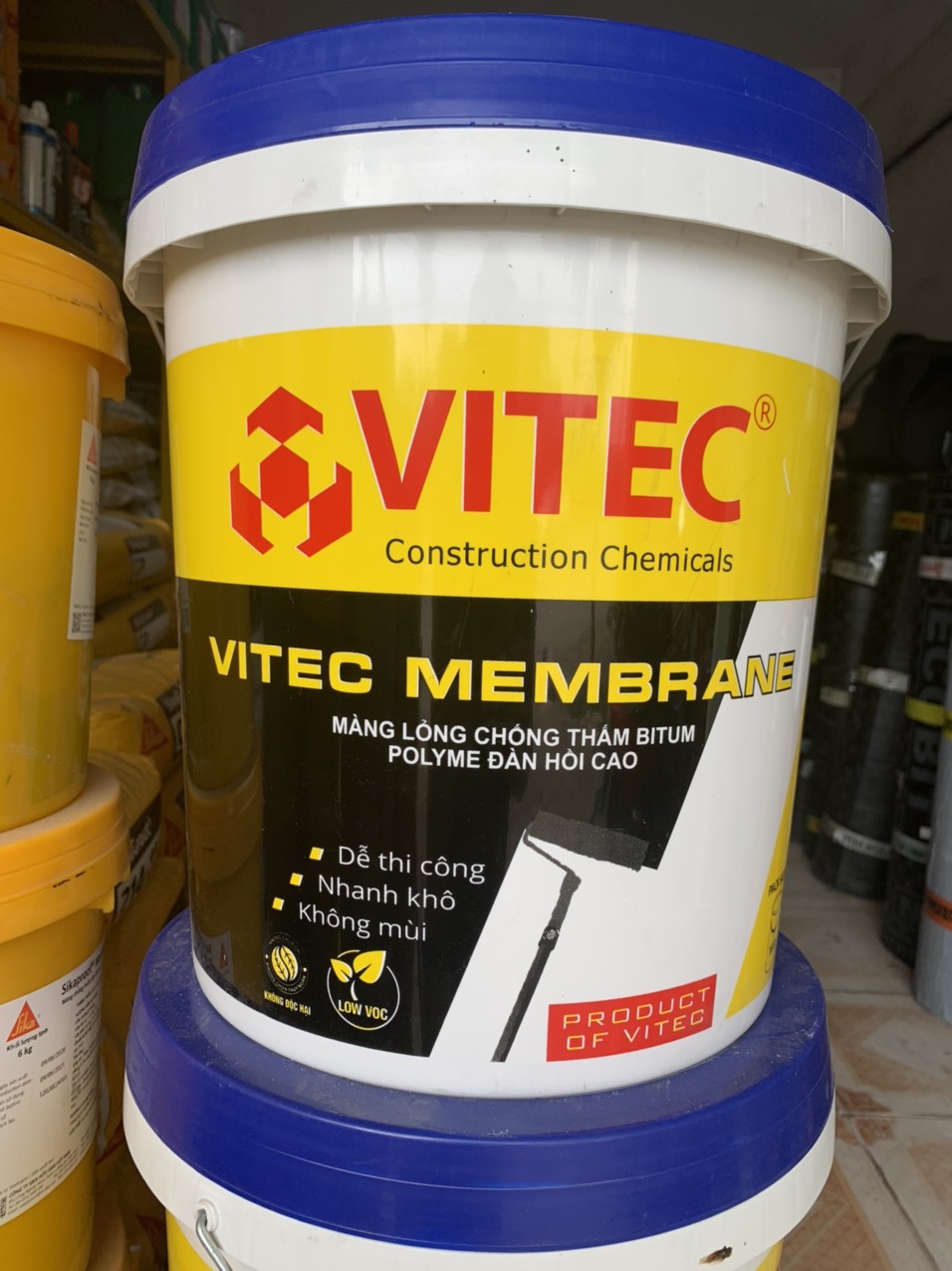 Memvitec.jpg.trước