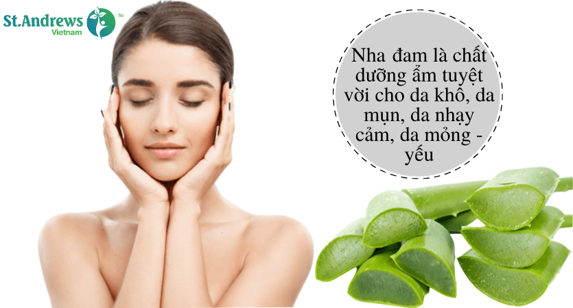 Lô hội có khả năng hydrat hóa mạnh mẽ giúp dưỡng ẩm và phục hồi làn da tổn thương hiệu quả