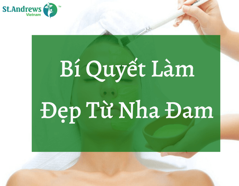 Bí Quyết Sử Dụng Nha Đam Đúng Cách Để Làm Đẹp Da