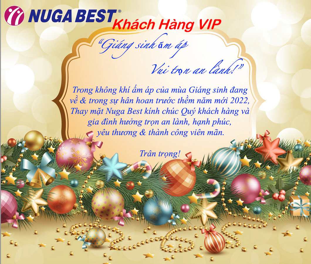 "Giáng Sinh Ấm Áp - Vui Trọn An Lành"