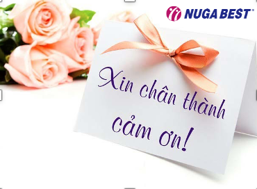 Lời Cảm Ơn