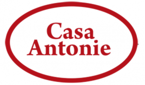 Casa Antonie