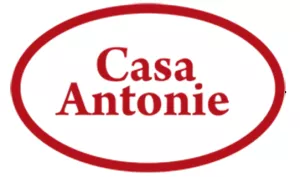 Casa Antonie