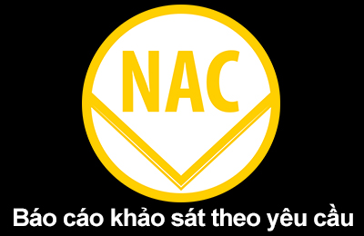 Báo cáo khảo sát cao cấp VIP (giá bán 99.000.000 đồng)