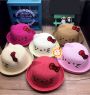 non-coi-hello-kitty