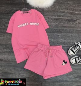 Đồ bô mickey cute ( trung)