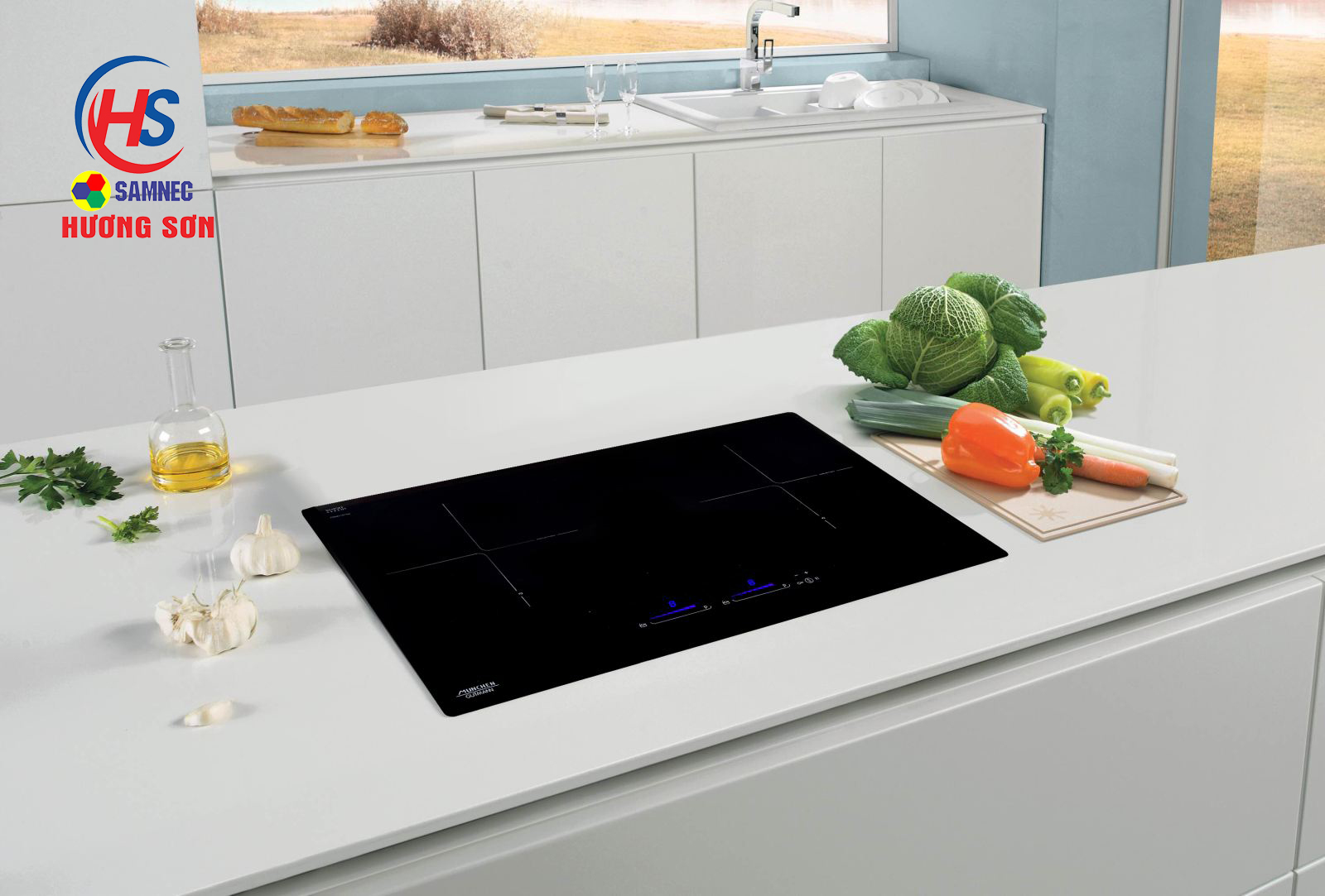 Đại lý bếp từ tại Vinh, Nghệ An