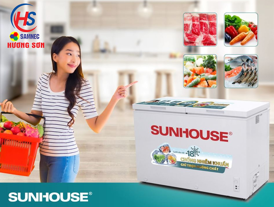 Tủ đông tại Vinh, Nghệ An