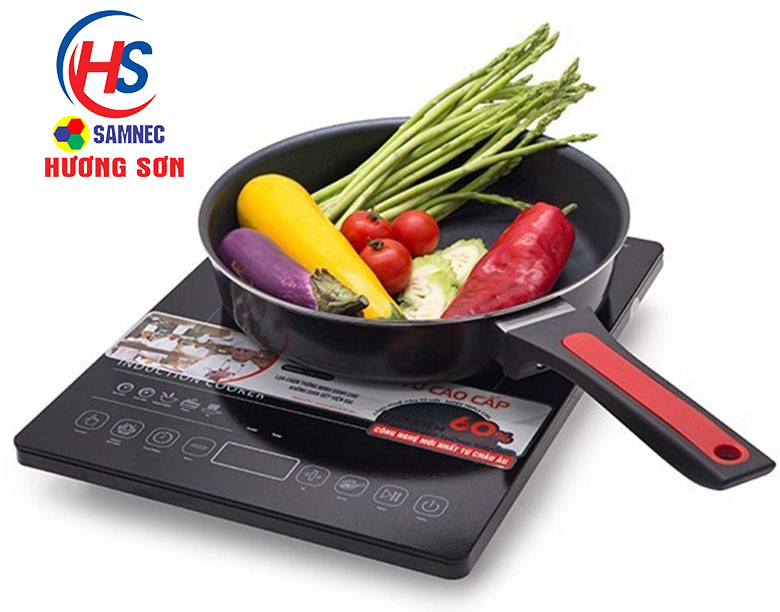 bếp từ elmich tại vinh nghệ an