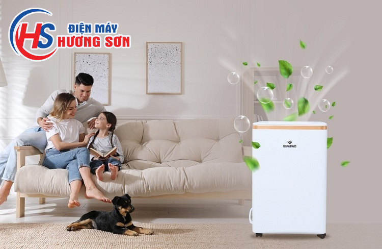 Đơn Vị Cung Cấp Máy Hút Ẩm Giá Tốt Tại Vinh