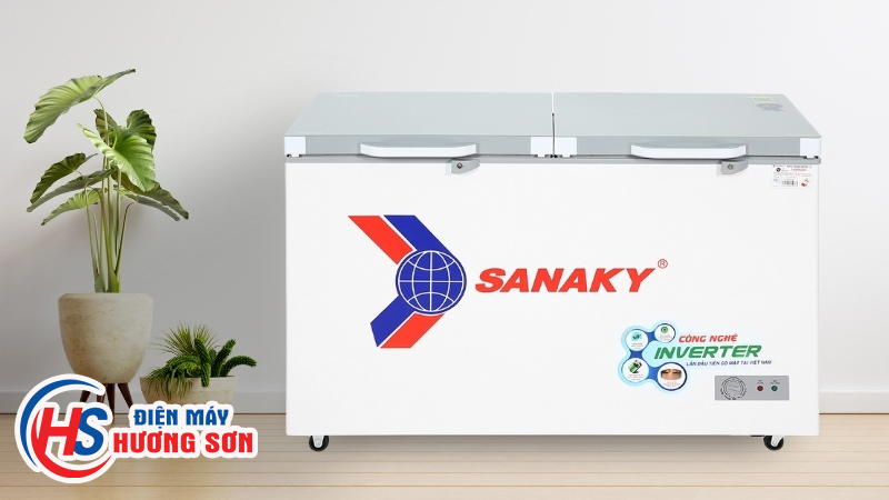 Nhà Cung Cấp Tủ Đông Sanaky Giá Tốt Tại Vinh