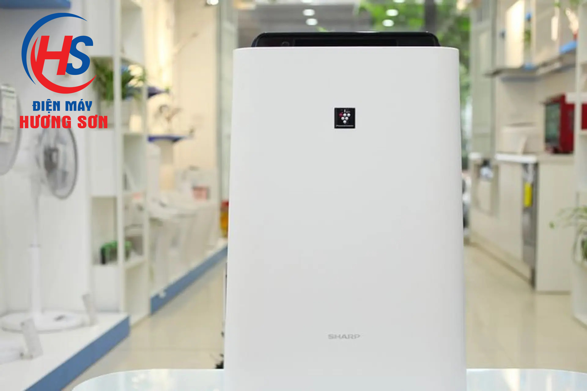 Đơn Vị Cung Cấp Máy Lọc Không Khí Sharp Tại Vinh, Nghệ An