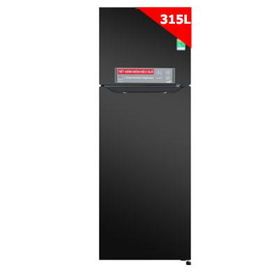 Tủ lạnh LG Inverter 315 lít GN-M315BL