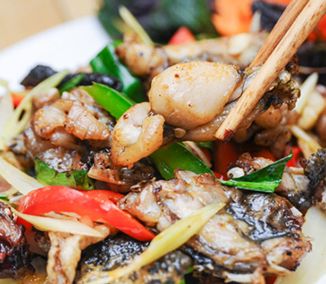 Thưởng thức set lẩu ếch 4 món tại Nhà Hàng Ếch Đồng 269