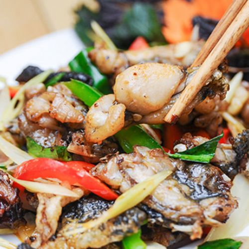 Thưởng thức set lẩu ếch 4 món tại Nhà Hàng Ếch Đồng 269