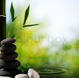 Lăn vi kim trị sẹo lõm, se khít chân lông – HM Beauty Clinic
