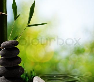 Lăn vi kim trị sẹo lõm, se khít chân lông – HM Beauty Clinic