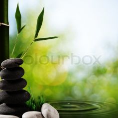 Lăn vi kim trị sẹo lõm, se khít chân lông – HM Beauty Clinic