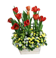 Vườn địa đàng