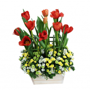 Vườn địa đàng