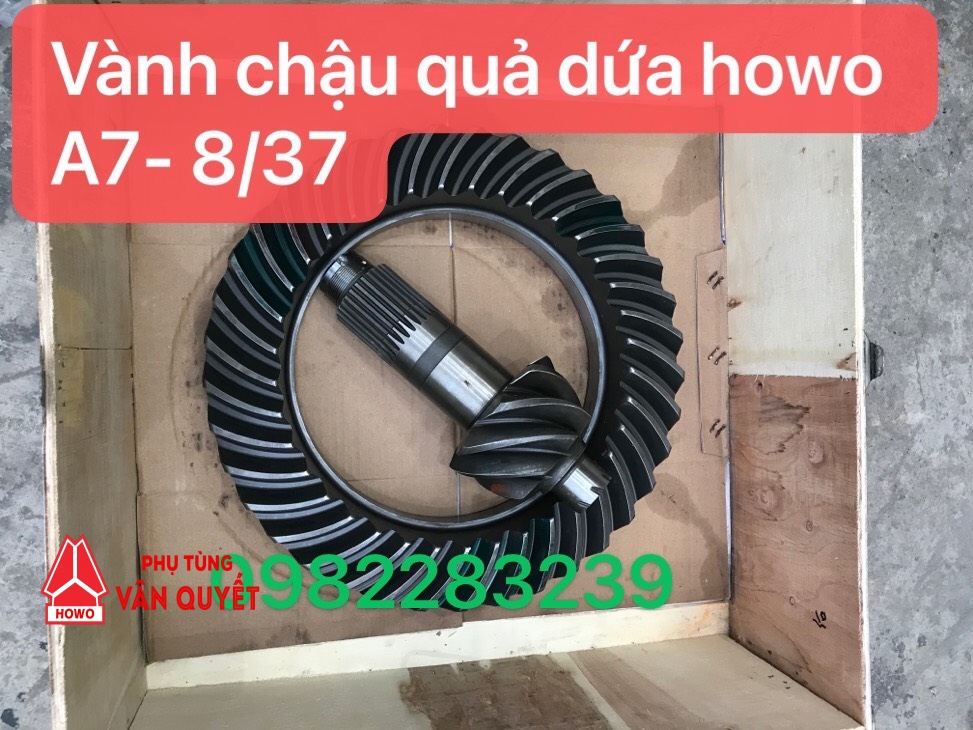 Vành chậu quả dứa 8/37 cầu giữa xe tải thùng A7 T5G TMT 336