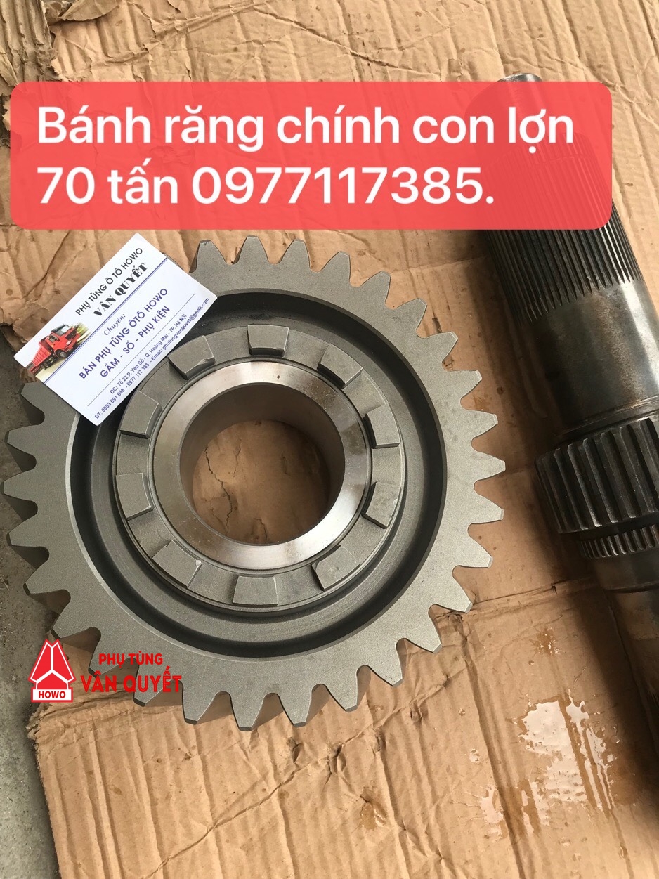 Bánh răng chính con lợn howo 70 tấn