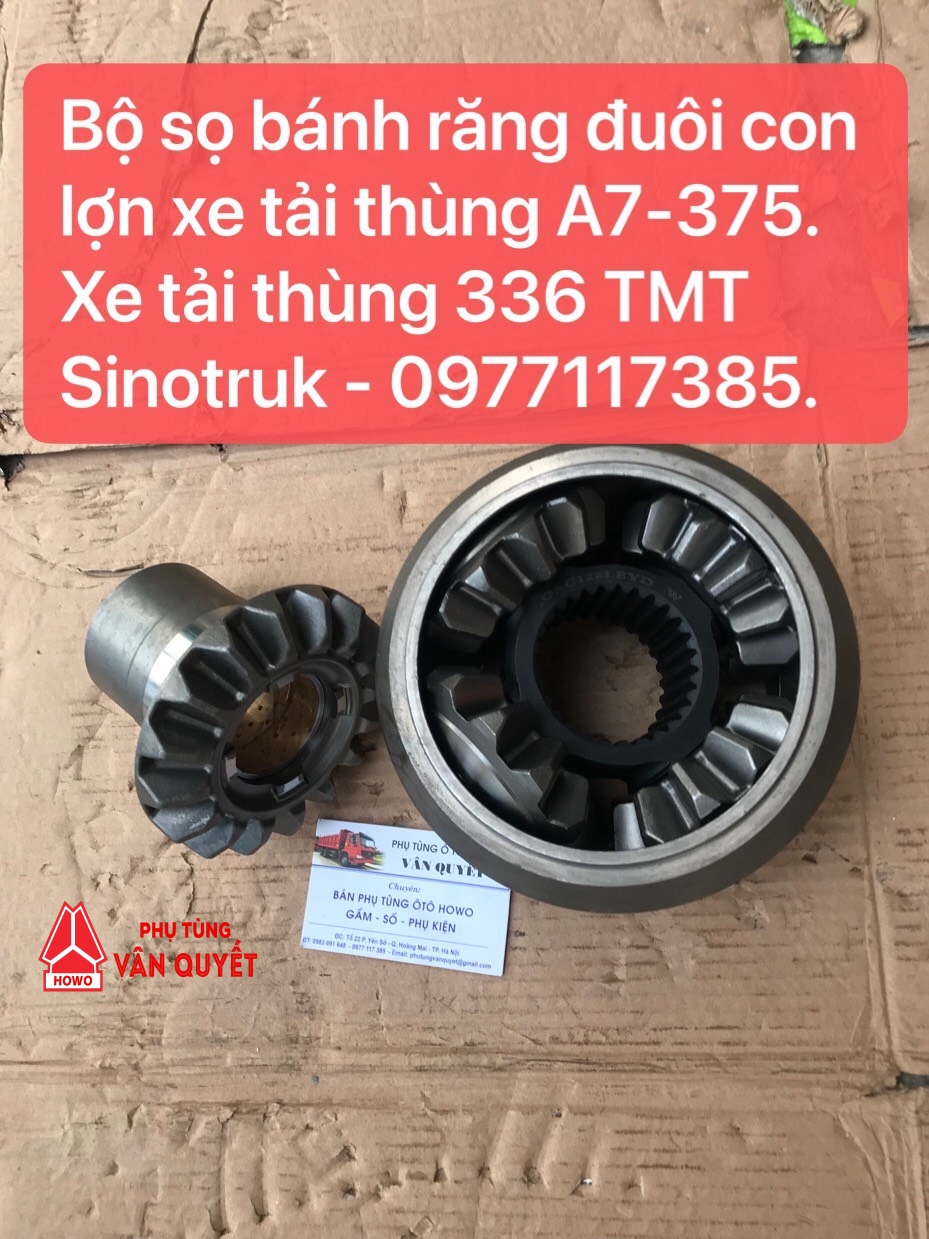 Bộ sọ vi sai con lợn xe tải thùng A7-375, xe 336 TMT Sinotruk