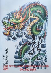 hinh xam rong 21