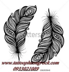 hinh xam maori