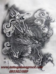 hinh xam ran
