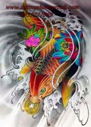 hinh xam ca