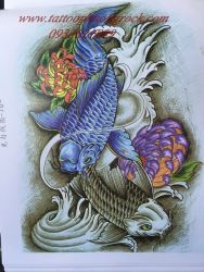 hinh xam ca