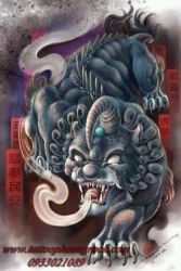 hinh xam ky lan