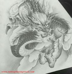 Hinh xam rong 39