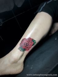 hình xăm hoa hồng nhỏ