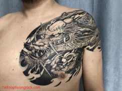 Hinh xam rong 3