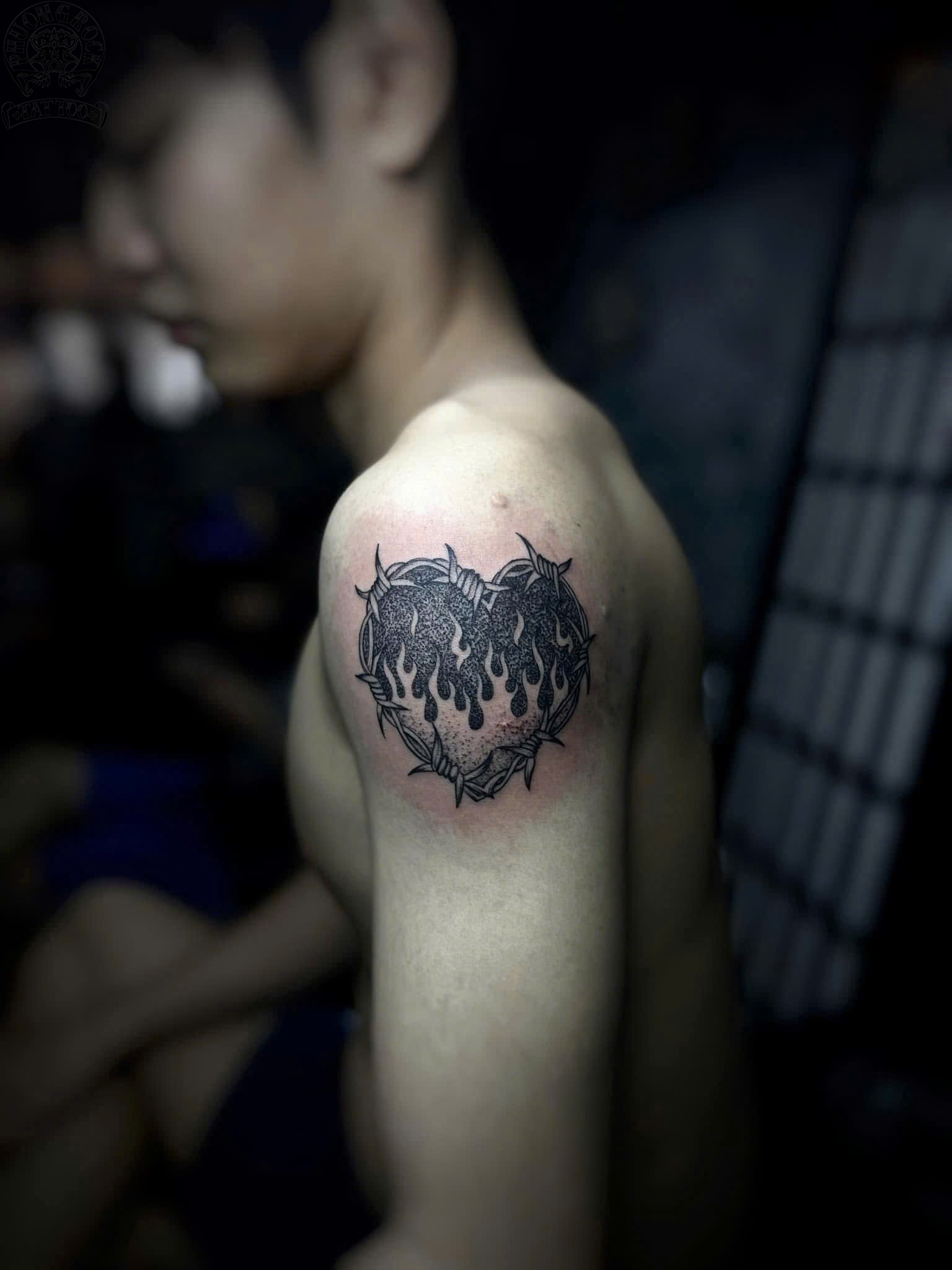 trái tim gai lửa