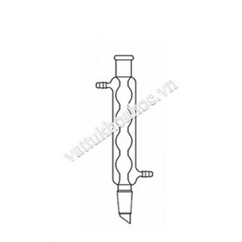 Sinh hàn hồi lưu nhám 29-30cm