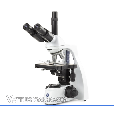 Kính hiển vi 3 mắt EUROMEX BS.1153-EPLi
