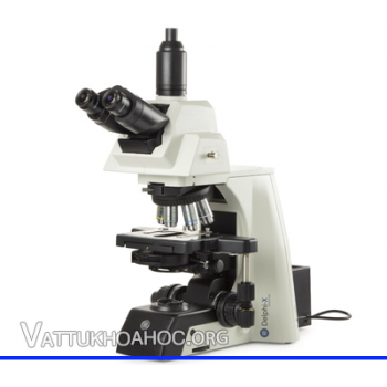kính hiển vi sinh học dùng trong y tế Euromex DX.2158-PLi
