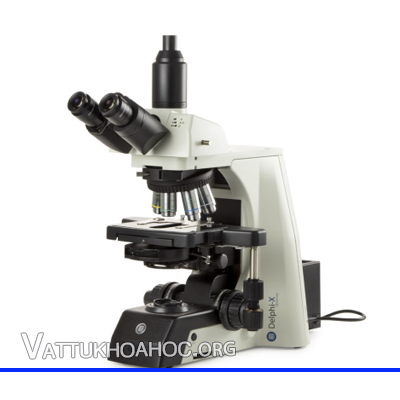 Kính hiển vi sinh học dùng trong y tế Euromex DX.2153-PLi