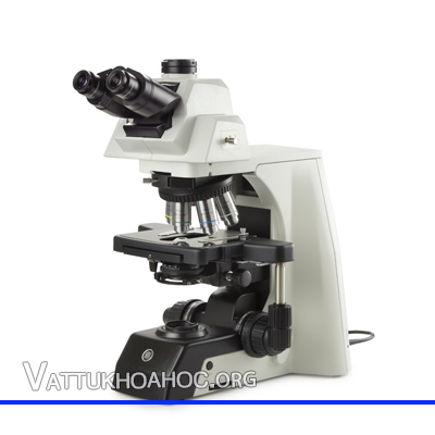 Kính hiển vi phản pha dùng trong y tế Euromex DX.1158-PLPHi
