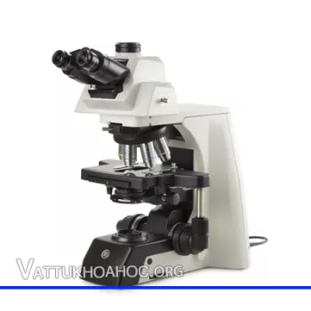 Kính hiển vi phản pha dùng trong y tế Euromex DX.1158-PLPHi