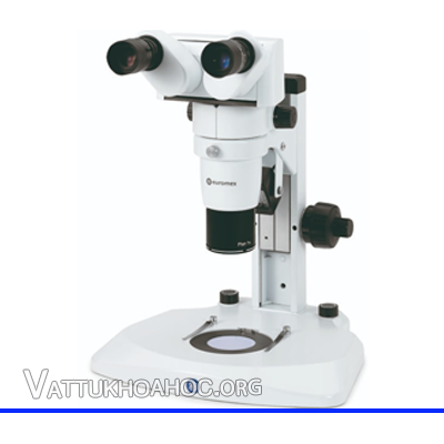 Kính hiển vi soi nổi 8-80X Euromex DZ.1100