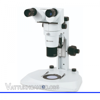 Kính hiển vi soi nổi 8-80X Euromex DZ.1100