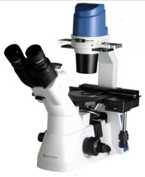 Kính hiển vi soi ngược phản pha EUROMEX OX.2053-PLPH
