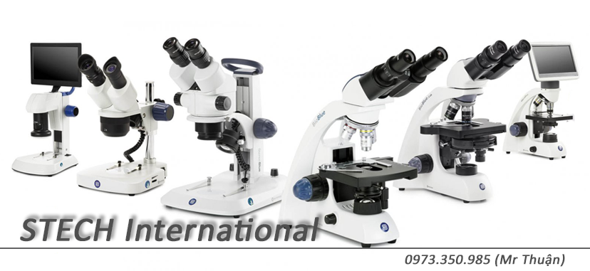 tải app vin777 - Khám Phá Kho Tàng Ẩn Giấu của Giới Yêu Thể Thao Cá Cược Việt Nam