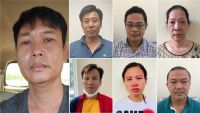 Hà Nội: Khởi tố vụ án và 7 bị can trong vụ nâng khống giá trị cây xanh
