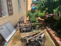 Phát hiện, thu giữ nhiều dụng cụ bẫy, bắt chim tự nhiên
