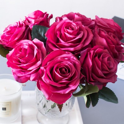 Hoa hồng hồng đậm